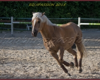 2-13JUIN 0410